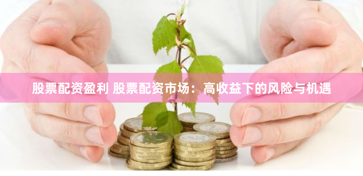 股票配资盈利 股票配资市场：高收益下的风险与机遇