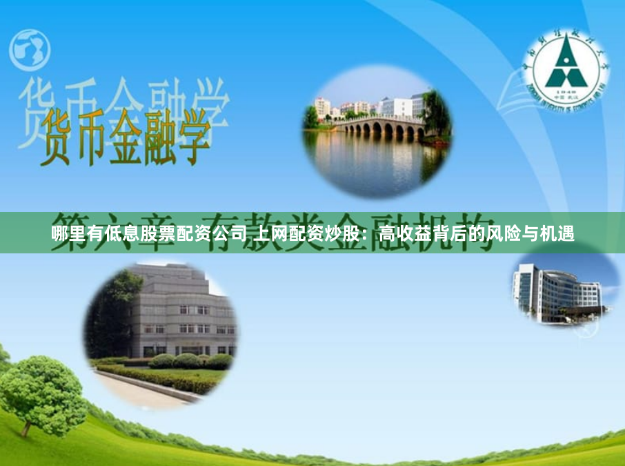 哪里有低息股票配资公司 上网配资炒股：高收益背后的风险与机遇