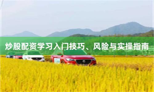 炒股配资学习入门技巧、风险与实操指南